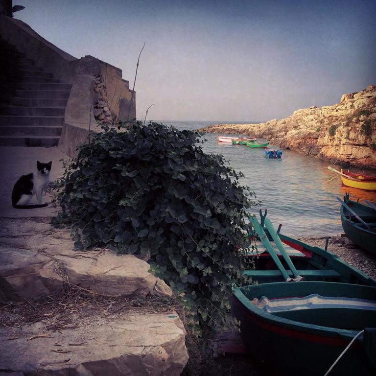 La Casetta Di Chiara B&B Polignano a Mare Bagian luar foto